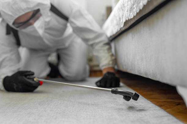 Professional Pest Control technician working in Windsor, CA